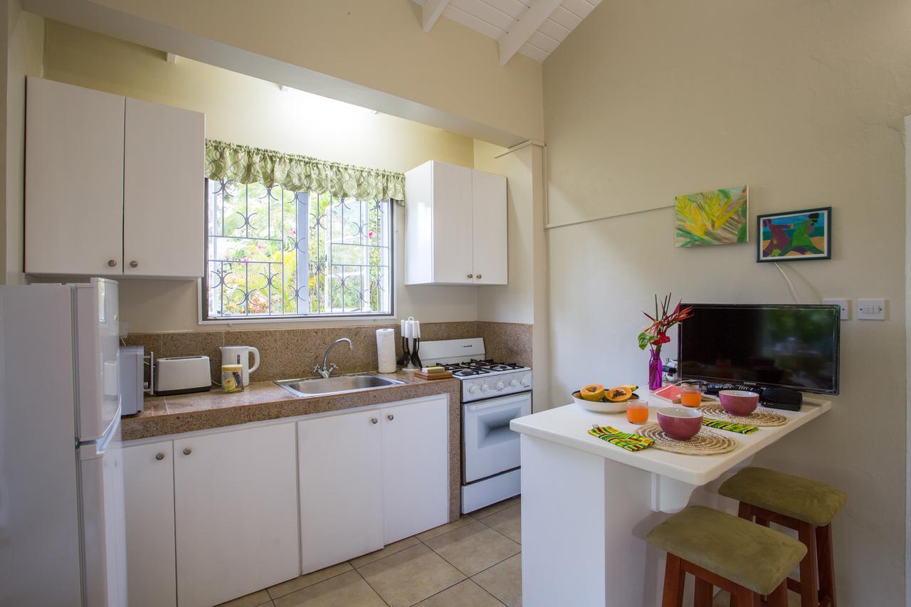 Smithy'S Eco-Apartment Morne Jaloux Ridge Bagian luar foto